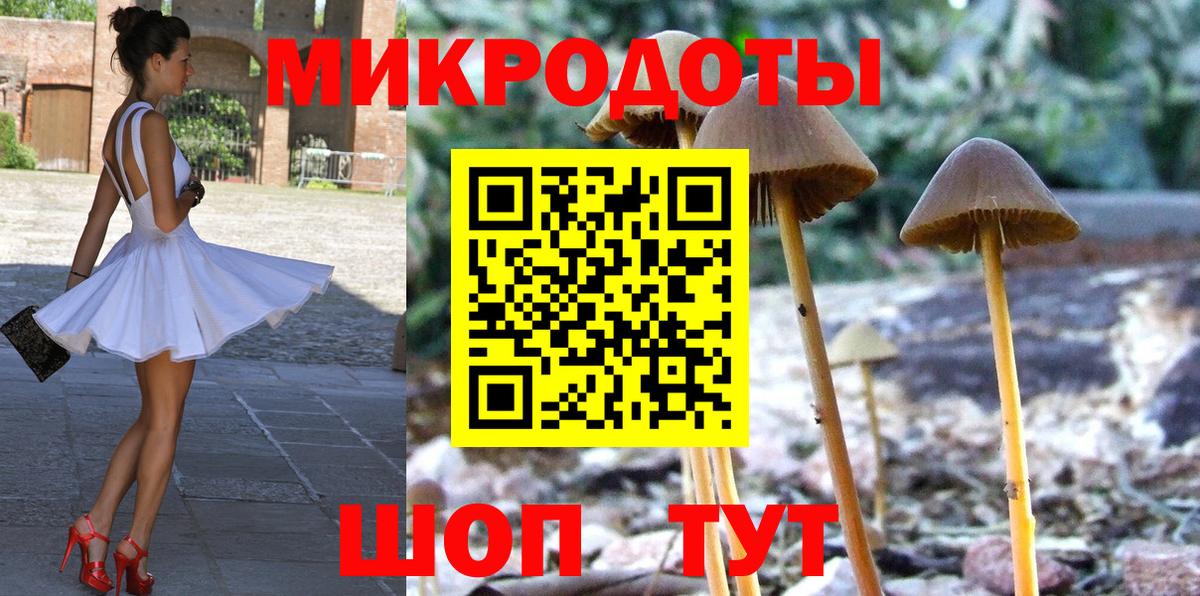 Псилоцибиновые грибы MAGIC MUSHROOMS Кызыл